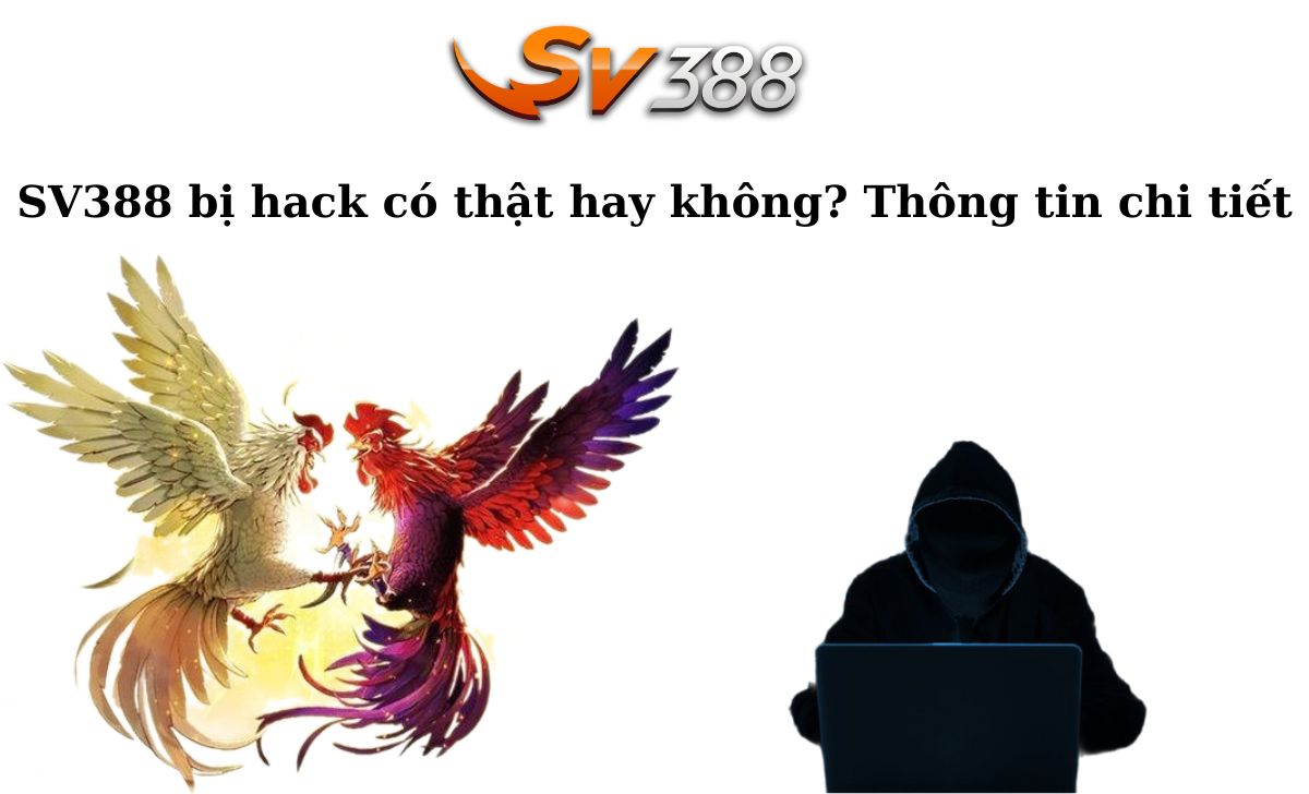 Mb88 độc quyền cung cấp nhiều ưu đãi hấp dẫn - Mb88